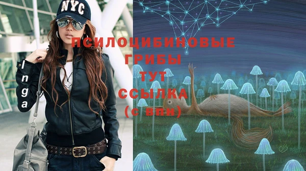 таблы Алексеевка