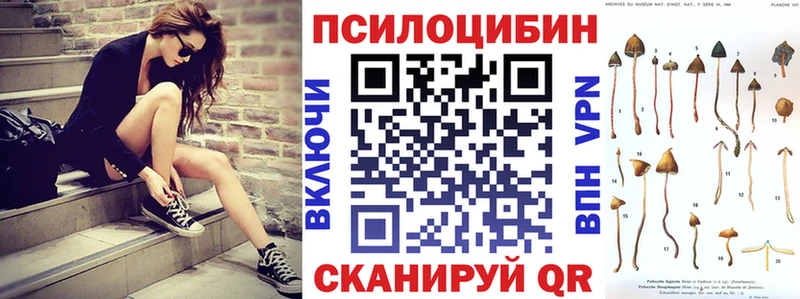 блэк спрут рабочий сайт  Елизово  Псилоцибиновые грибы Magic Shrooms 