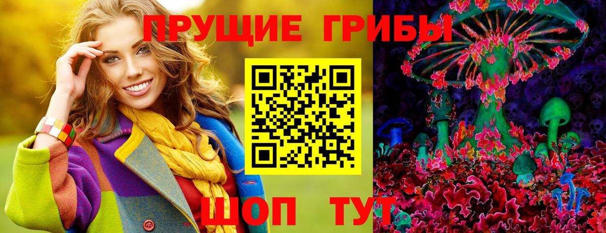наркошоп  Псилоцибиновые грибы Magic Shrooms  Вход с VPN  Елизово  Галлюциногенные грибы мицелий 