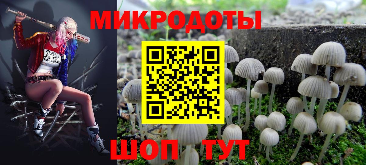Псилоцибиновые грибы прущие грибы Елизово