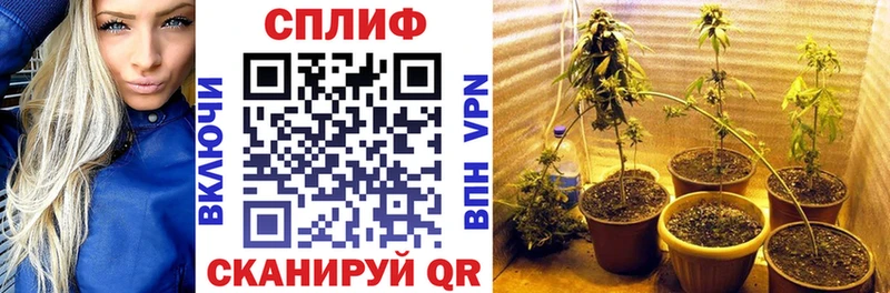 Бошки Шишки семена  Елизово 